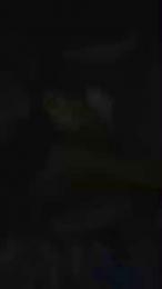 LiNi1984 webcam model stream image