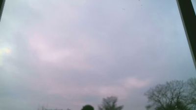 noixdeuxcroco webcam model stream image