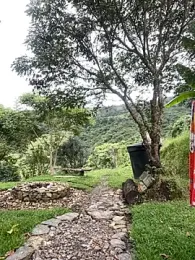 Ell_gomxxxz webcam stripchat model stream image