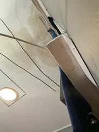 trickydickydaddy webcam model stream image