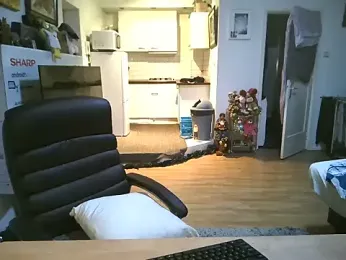 mihaimichael webcam model stream image