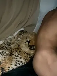 magneto01 webcam model stream image