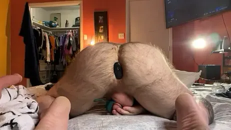 BearChubby300 webcam stripchat model stream image