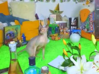 landel_boy webcam chaturbate model stream image