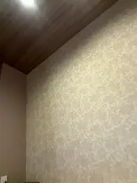 OnlyHentai_JP webcam model stream image