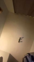 InkedTroia webcam model stream image