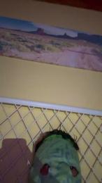 hottyboy1o webcam cam4 model stream image