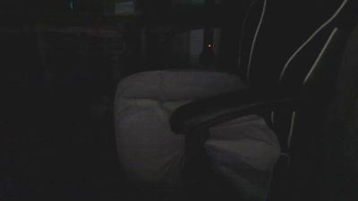 pussaddicte webcam model stream image