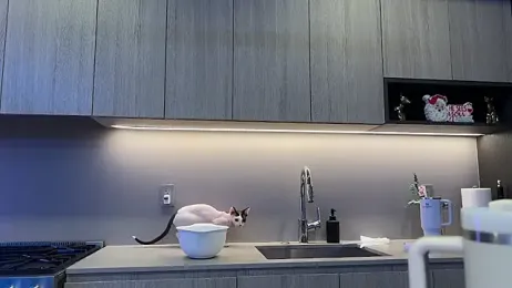 Graciemae_baexx webcam model stream image