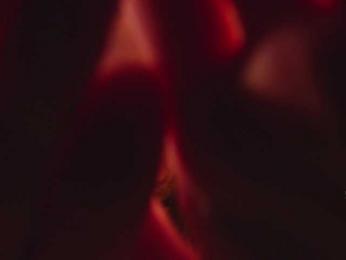 KOTTYAA webcam model stream image