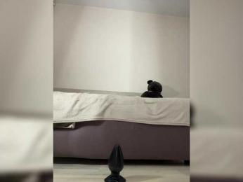 Honey_buns webcam bongacams model stream image