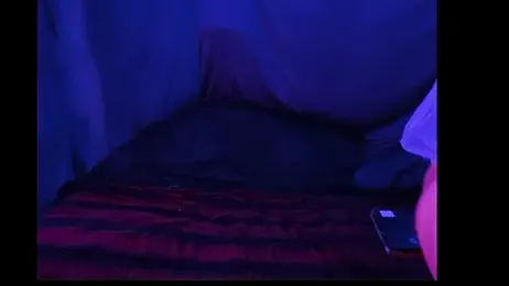 BushBator webcam model stream image