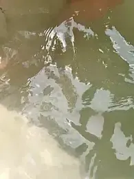 wildestatecouple webcam model stream image