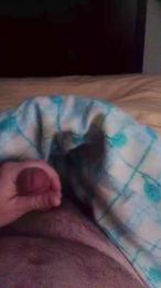 torcado47 webcam model stream image