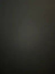 toobarry webcam model stream image