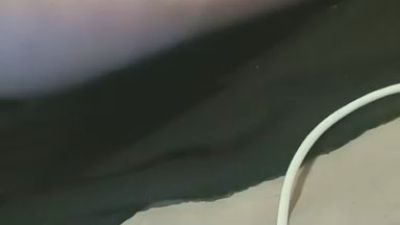 MAGICDICK20 webcam model stream image