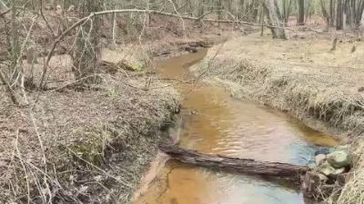 MikeSpyke webcam model stream image