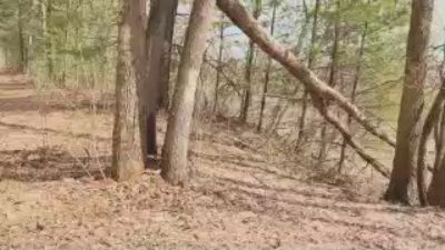 MikeSpyke webcam model stream image