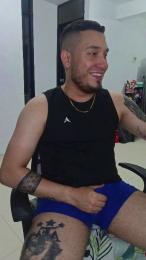 _LIONEL_ webcam model stream image