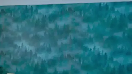 MarkShot_ webcam model stream image