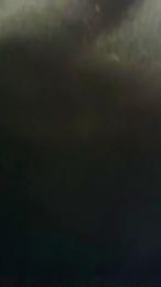 renatoalba8788 webcam model stream image