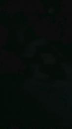 renatoalba8788 webcam model stream image