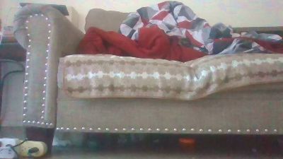 Silkworm_Piper webcam model stream image