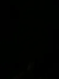 Wet-Pussycat webcam model stream image