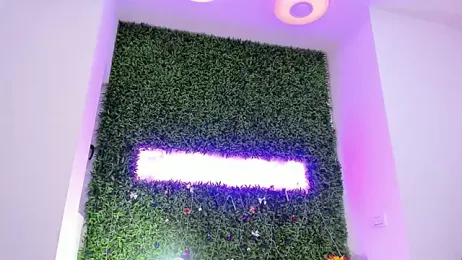 realhotfallingdevil webcam model stream image