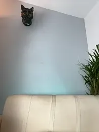 Elirpo webcam model stream image
