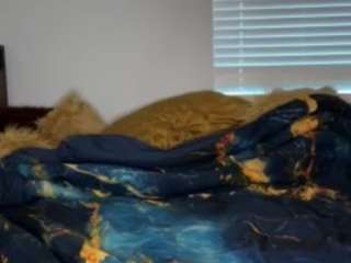 laylared webcam camsoda model stream image