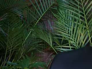 anastaxialynn webcam camsoda model stream image