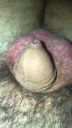 litorale40 webcam model stream image