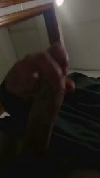 Pipe1728 webcam model stream image