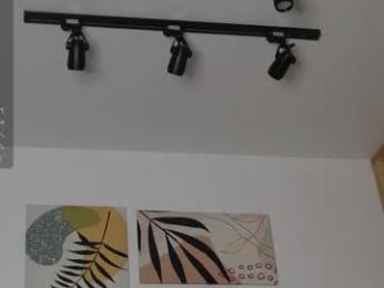 corni__ webcam model stream image