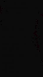 xxxLeilaxxx webcam model stream image