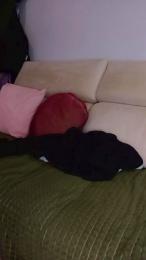 Nlixxx webcam model stream image