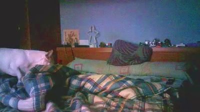 serapo37 webcam model stream image