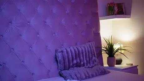 MaiaMini webcam model stream image