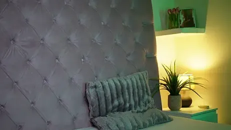 MaiaMini webcam model stream image