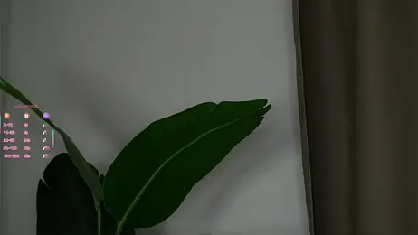 LillianLester webcam model stream image