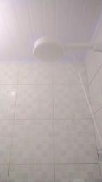 Gatonota webcam model stream image