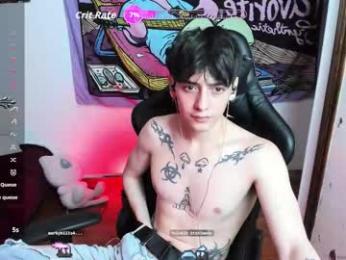 sai_l webcam model stream image