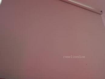 roselinedior webcam model stream image