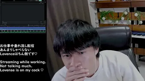 IroManager webcam model stream image