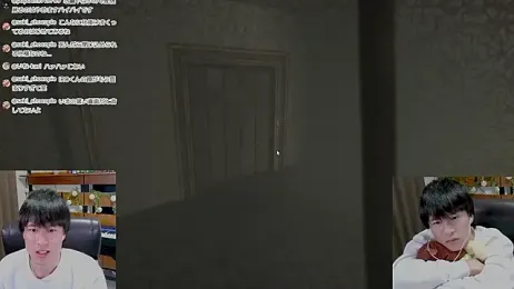 IroManager webcam model stream image