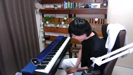 IroManager webcam model stream image