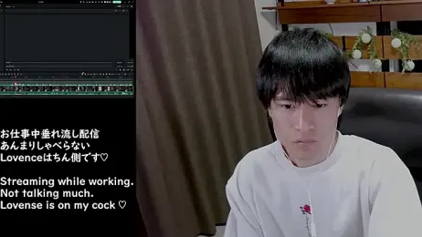 IroManager webcam model stream image