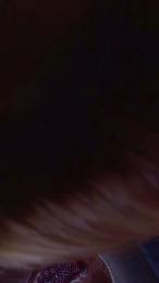 noicoppia71 webcam model stream image