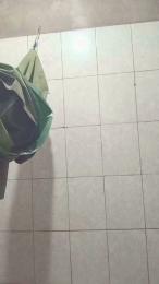 evan243 webcam model stream image